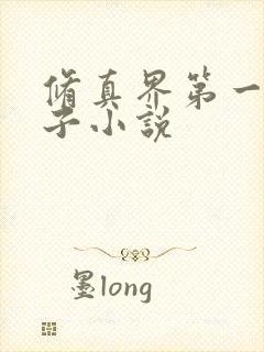 修真界第一病秧子小说封面