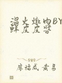 温火炖肉BY海鲜皮皮酱