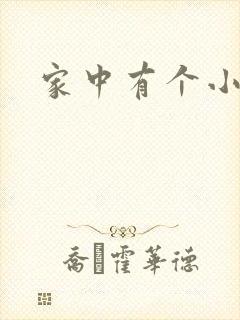 家中有个小姨子封面