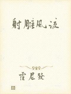 射雕风流