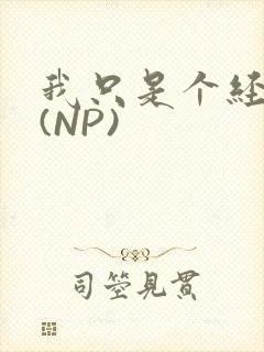 我只是个经纪人(NP)