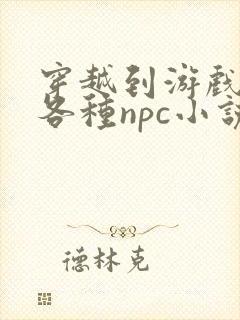 穿越到游戏里和各种npc小说