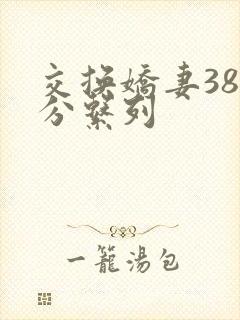 交换娇妻38部分系列封面