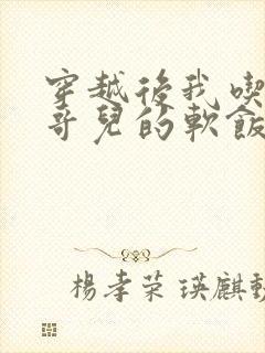 穿越后我吃到了哥儿的软饭炉山灰封面