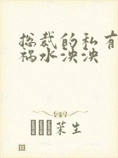 总裁的私有宝贝祸水泱泱