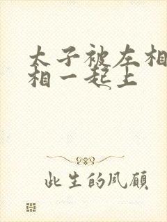 太子被左相和右相一起上