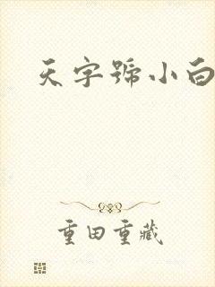天字号小白脸