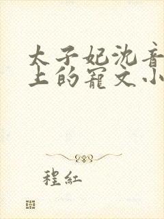 太子妃沈音和皇上的宠文小说