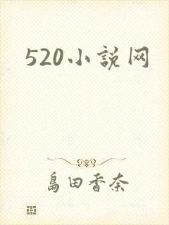 520小说网