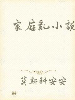 家庭乱小说封面