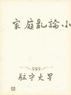 家庭乱论小说
