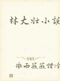 林大壮小说阅读