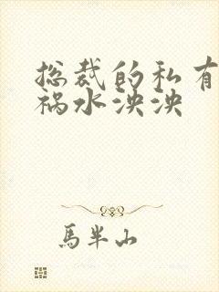 总裁的私有宝贝祸水泱泱