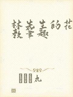 林先生的花式管教笔趣