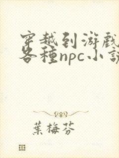 穿越到游戏里和各种npc小说封面