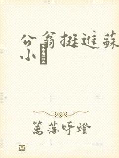 公翁挺进苏玥的小泬封面
