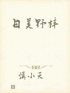 日美野梓封面