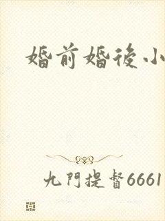 婚前婚后小说