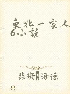 东北一家人1一6小说