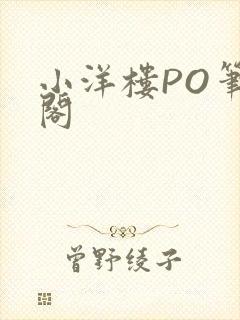 小洋楼PO笔趣阁