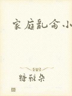 家庭乱仑小说封面