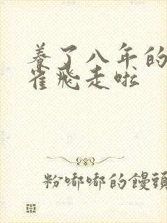 养了八年的金丝雀飞走啦