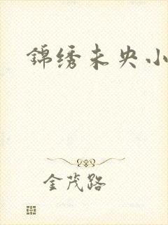 锦绣未央小说