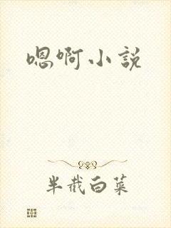 嗯啊小说