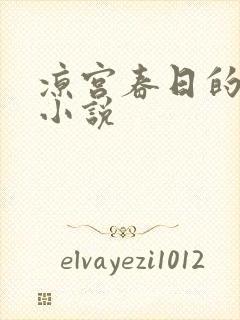 凉宫春日的忧郁小说