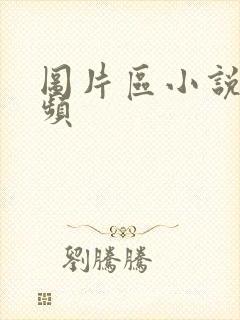 图片区小说区视频