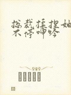 总裁揉捏她两乳不停呻吟封面