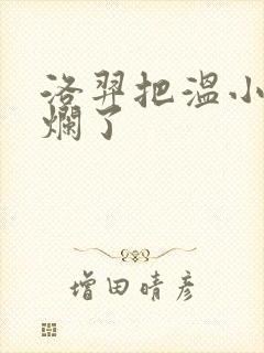 洛羿把温小辉做烂了封面