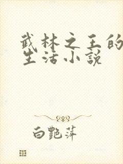 武林之王的退隐生活小说