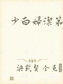 少白妇洁第二部封面
