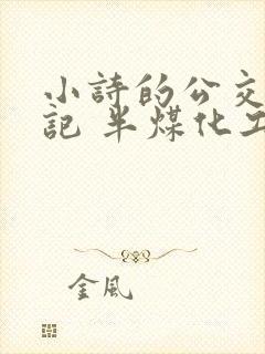 小诗的公交车日记 半煤化工