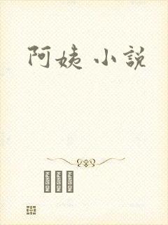 阿姨 小说