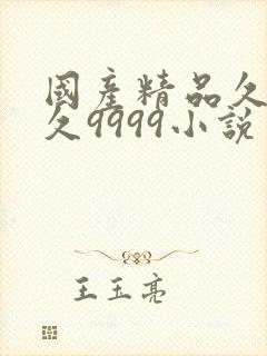 国产精品久久久久9999小说