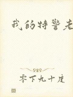 我的特警老婆封面