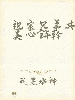 祝家兄弟共享后夹心饼干