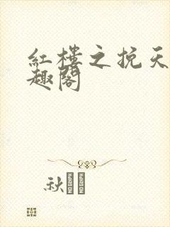 红楼之挽天倾笔趣阁