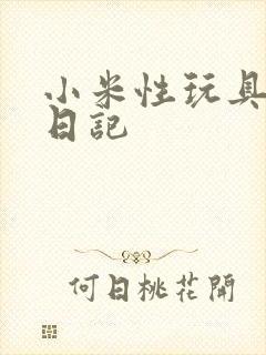 小米性玩具羞辱日记
