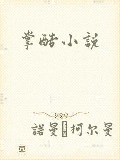 掌酷小说