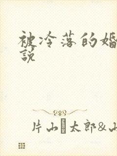 被冷落的婚姻小说