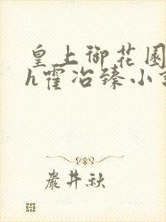 皇上御花园hlh霍冶臻小说