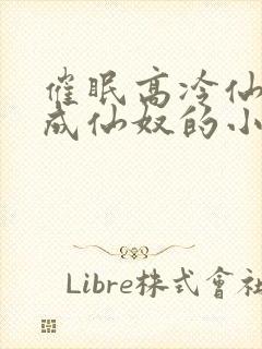 催眠高冷仙奴变成仙奴的小说