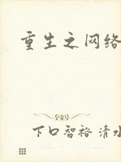 重生之网络大亨