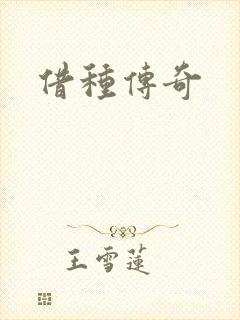 借种传奇封面