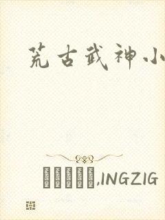 荒古武神小说