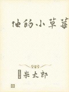 他的小草莓封面