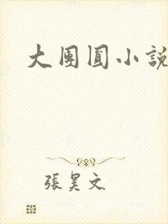 大团圆小说